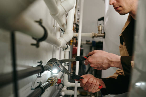 Best Clogged Drain Plumber  in Apollo Beach, FL